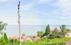Panorama eterna asupra Balatonului - 5