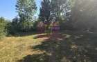 Teren intravilan de vanzare 3375 mp in Brebu