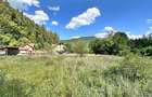 Teren Construcții intravilan de 4000 mp, în Brădet - 4