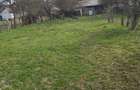 Inchiriez casa ideal afacere 9000 mp Teren - 6
