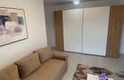Apartament 2 camere, prima inchiriere - 10
