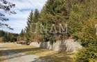 ***OFERTA NOUA*** Teren langa Scena, in Poiana Lupului, Garana - 8