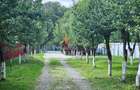 Teren Construcții intravilan de 2000 mp, în Zizin - 1