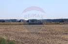 Teren Construcții intravilan de 650 mp, în Ghermănești - 7