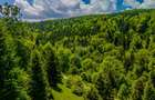 Teren intravilan de 14400 mp, în Cheile Râșnoavei - 11