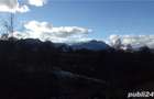 Vand teren Bran - Sohodol - 2
