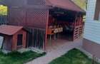 Casa la curte Livezeni Arges - 4