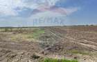 Teren Construcții de 10000 mp, în Nord-Vest - 3