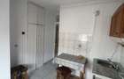 Garsoniera/apartament cu o camera de inchiriat in Sebes - 1