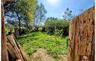Casă individuală cu 7 camere cu Canalizare în Vlădeni - 27 Casă individuală cu 7 camere cu Canalizare în Vlădeni - 27