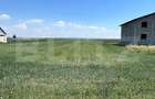 Oportunitate de investitie!!! Teren intravilan, 9782 mp, zona Corocaie - 6