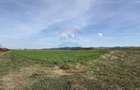 Teren agricol extravilan de 11300 mp, în Bonțida - 1