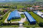Spațiu industrial, de 1,532 mp, în Cărpiniș - 8