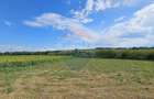 Teren de 12000 mp, în Pădureni (Șendriceni) - 5