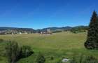 Teren in Bucovina! La Munte! De vanzare! 0727817187 - 5