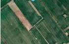 Vanzare 1000, 2000 sau 3000 mp teren intravilan in Buftea langa padure - 4