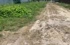 Teren de 2900 mp, în Gilău - 1