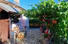 Casă individuală cu 3 camere cu Teren 2545 Mp în Năeni - 13