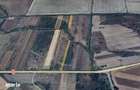 Teren extravilan 28.300 mp intre Gavojdia si Jena - 3