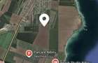 Teren 7000 m2 in apropiere de Nibiru ( Tuzla - Constinesti ) - 3