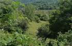 Teren 11230 m.p. + Conac - necesita renovare - 6