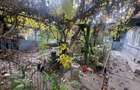 Casă cu 5 camere în Bucureștii Noi - 3