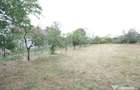 Teren intravilat 1777 mp, front 16 m, zona centru Aricestii - 5
