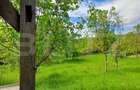 Casă individuală cu 4 camere cu Teren 4873 Mp în Moldovenești - 20