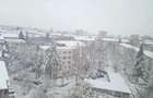 Apartament 3 camere cartier Sasar etaj 8 - 5