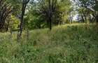 Teren intravilan de vanzare - 6