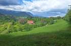 Vand teren in Bran-Sohodol - 2