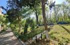 Apartament 2 camere Neptun - 1