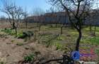 ID 6675 EXCLUSIVITATE - Teren cu casa in Sat Lunca- DELTA DUNARII - 1