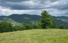 Oportunitate de Investi?ie: Teren Intravilan 1.5 Ha la 1200m Altitudine Langa Partia Vartop (A - 5