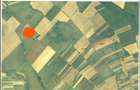 Teren extravilan (arabil) de vanzare - 5