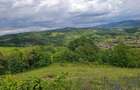 Teren de vanzare Ro?ia, Bihor - 4