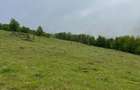 Oportunitate de Investi?ie: Teren Intravilan 1.5 Ha la 1200m Altitudine Langa Partia Vartop (A - 3