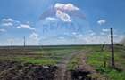Teren agricol de 20000 mp, în Micălaca - 4