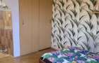 Inchiriez apartament cu o camera in Someseni - 2