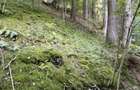 Teren 15.600 mp (1,56 ha) Campulung Moldovenesc | Padure, izvor si parau | Refugiu in mijlocul naturii - 8