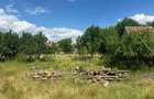 Casă cu Teren 2800 Mp în Remetea-Pogănici - 3