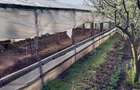 Vand casa ( teren 2.000 mp) in sat Pietrele, jud. Giurgiu - 7