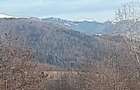 vand teren intravilan - 5