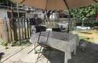 Casa 3 camere de vanzare - Elisabetin - 1