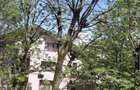 Apartament cu 2 camere semidecomandat în Grivița - 15