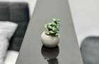 Regim Hotelier Modern Luxury Studio LED Ambient Design Premium - 2