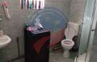 Casa cocheta la 30 minute de Craiova- Corni?a Dolj - 10
