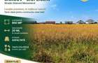 Particular - Snagov Ciofliceni vand lot teren in suprafata de 800 mp, - 2