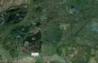 Vanzare proprietate 1,7 ha cu front direct la Dunare - 3