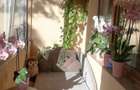 Apartament 3 camere, semidecomandat - zona Garii - 1